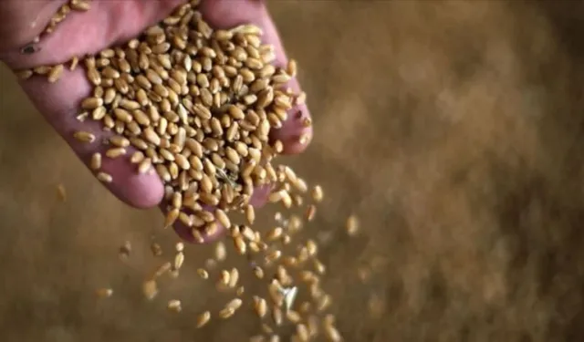 Hürmüz boğazı krizi tahıl fiyatlarını uçurdu