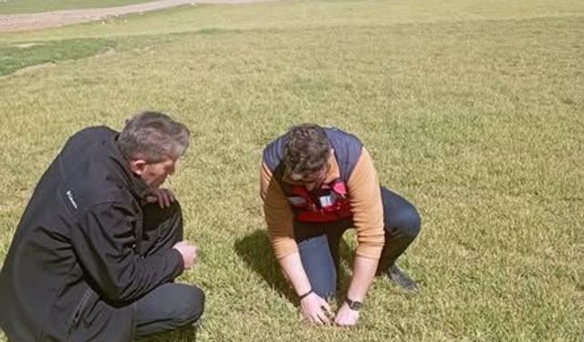 Kütahya Aslanapa’da zarar gören ekili alanlar incelendi