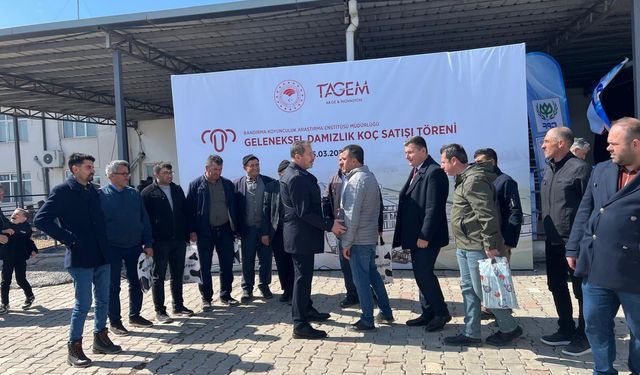 Bandırma’da damızlık koç satışına yoğun katılım