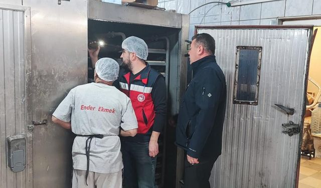 Kütahya Domaniç’te fırınlara gıda denetimi yapıldı