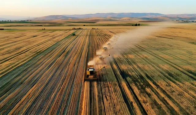 Tarım piyasalarında tedarik zinciri yavaşlıyor