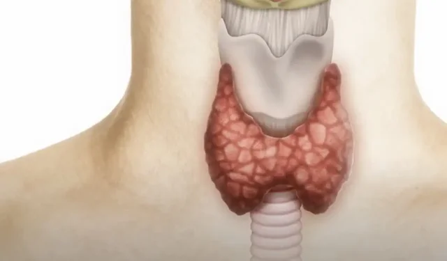 Tiroid kanserinde erken uyarı veren belirtiler