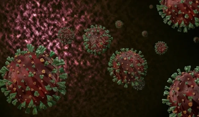 Vakalar patladı: Yeni tehlikeye "beyaz veba" deniliyor