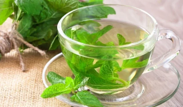 Nane suyu içmenin 5 önemli faydası