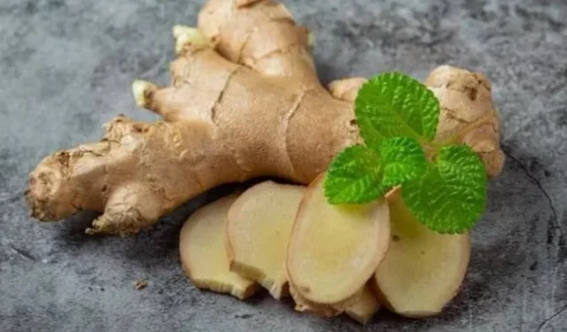 Günde bir dilim zencefilin faydaları