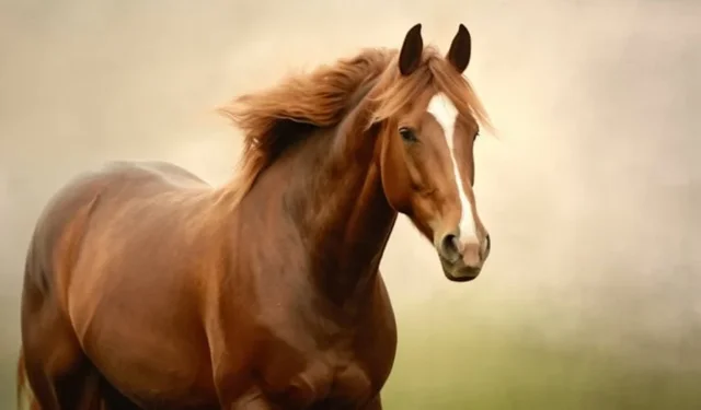 Atların alnındaki beyaz lekenin sırrı ortaya çıktı