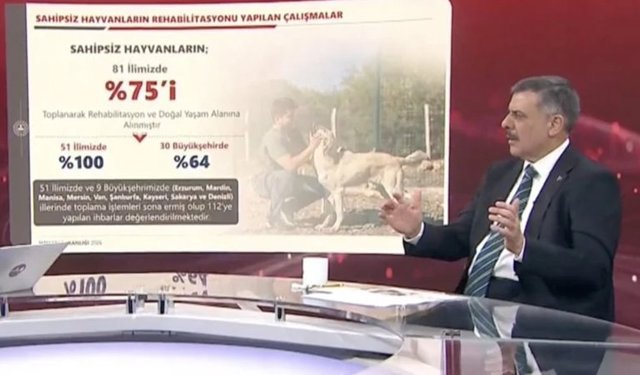 Bakan Çiftçi: Sokak hayvanlarının yüzde 75’i toplandı