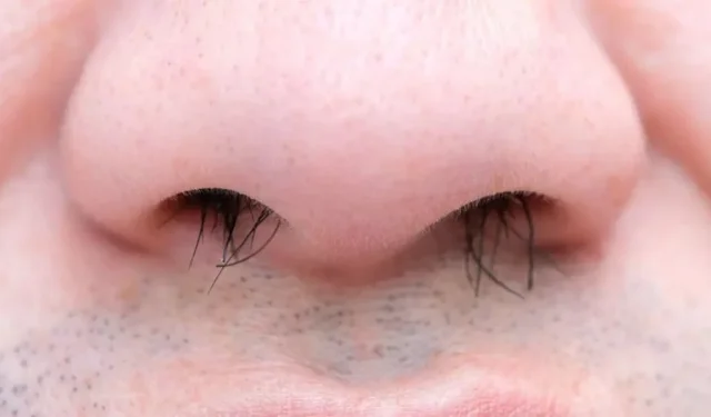 Burun kılları tozlu havaya karşı doğal filtre görevi görüyor