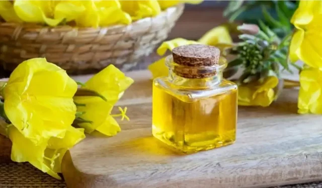 Çuha çiçeği yağı faydalarıyla dikkat çekiyor