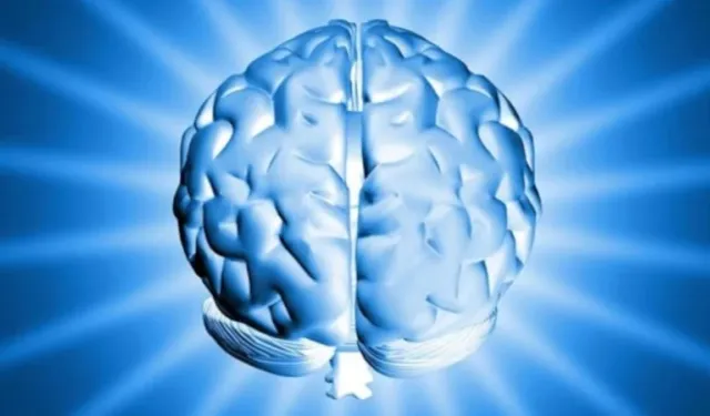 Dünyanın en yüksek IQ'suna sahip ülkeleri belli oldu