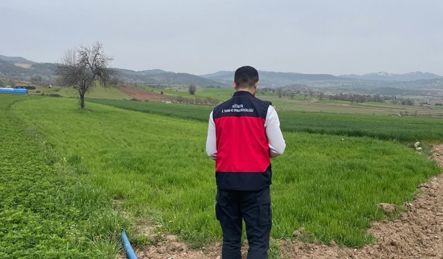 Kütahya Emet’te yonca tarlalarında denetimler sürüyor