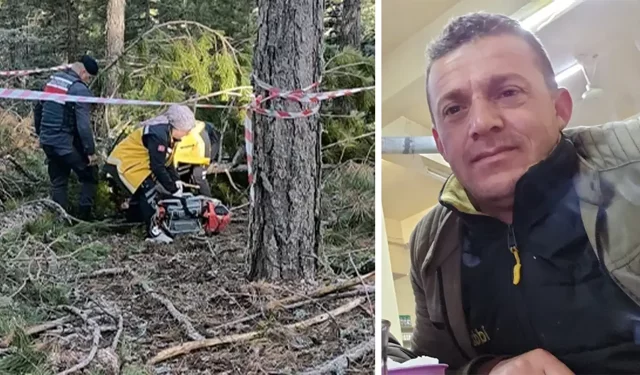 Kütahya'da kestiği çam ağacının altında kalarak öldü