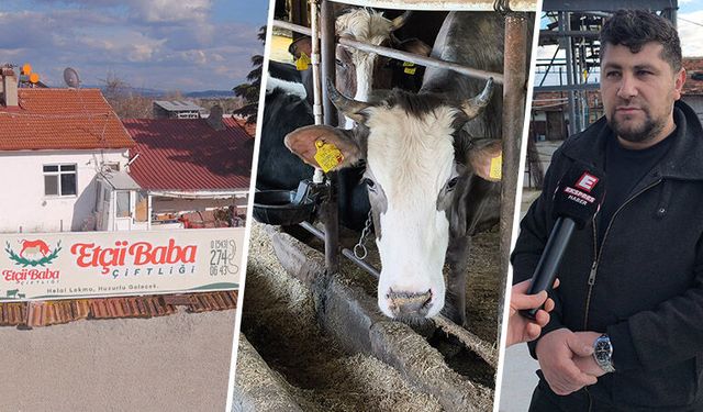 Kütahya’da kurbanlık hayvan alışverişi başladı