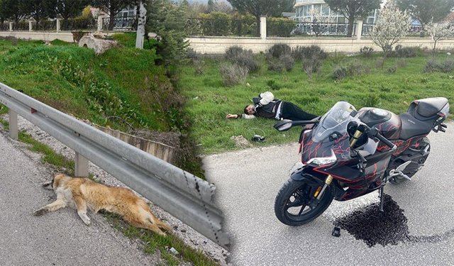 Kütahya’da motosiklet köpeğe çarpıp takla attı