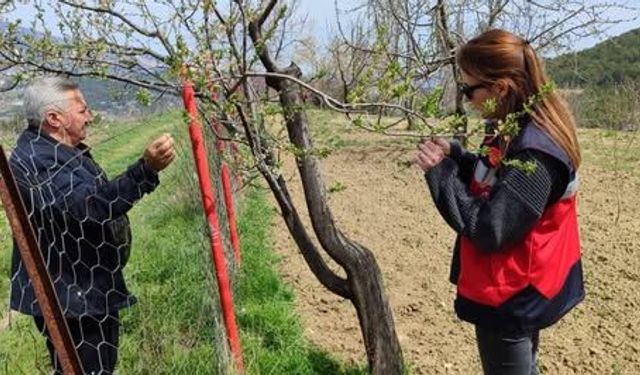 Kütahya Şaphane’de zirai don kontrolleri tamamlandı