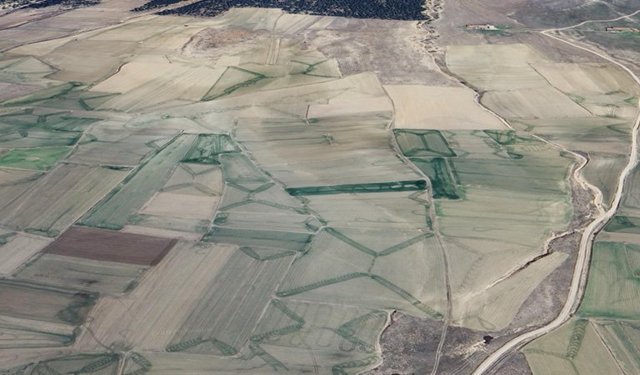 Kütahya Altıntaş’ta çoklu tarla satışı: Mahkemeden 4 taşınmaz ihaleye çıkıyor