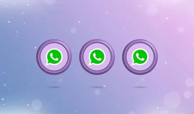 WhatsApp’ta mor halka özelliğinin anlamı