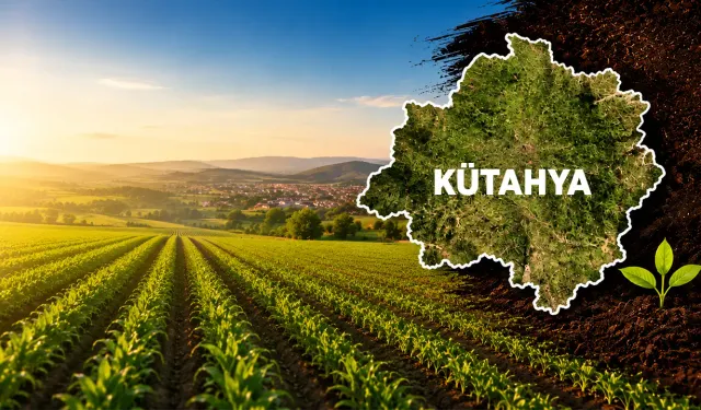 En çok kazandıran tarım ürünleri açıklandı