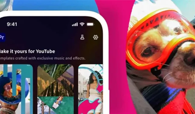 Google duyurdu: Adobe Premiere Android telefonlara geliyor