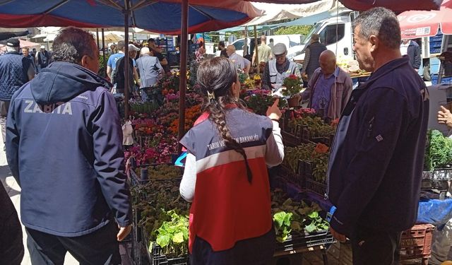 Kütahya Domaniç’te pazarda fide denetimi yapıldı