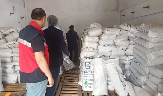 Kütahya Domaniç’te UKİP kapsamında çalışmalar yapıldı