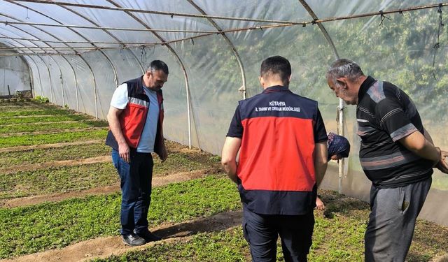 Kütahya Emet’te seracılık üreticilerine teknik destek