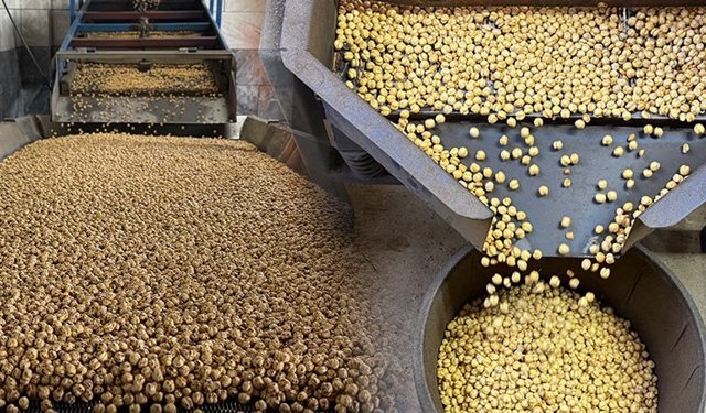 Kütahya’da 5 kuşaktır üretilen leblebi yurt dışına ihraç ediliyor