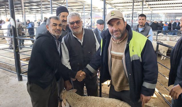 Kütahya’da canlı hayvan pazarında hareketlilik arttı