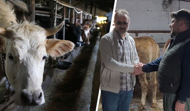 Kütahya’da Etçi Baba, kurbanlık satışlarında hız kesmiyor