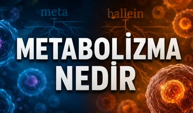 Metabolizma kelimesinin kökeni ve gerçek anlamı