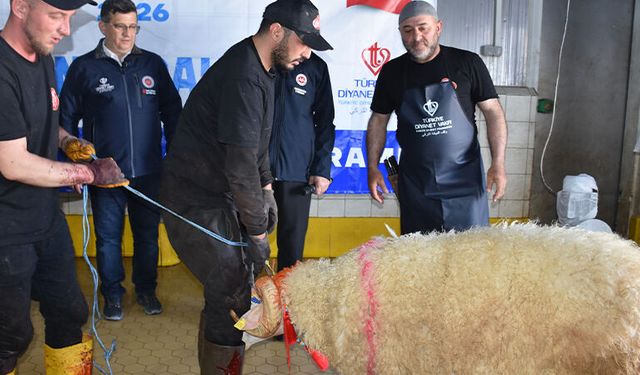 TDV’den Afyonkarahisar’da Kurban organizasyonu