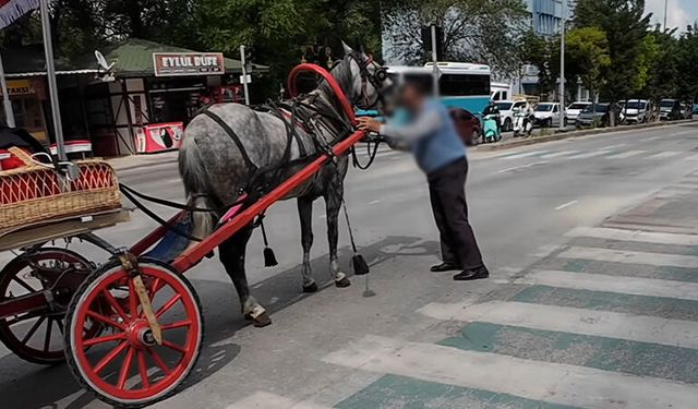 Kütahya'da kaçan fayton atı trafiği birbirine kattı