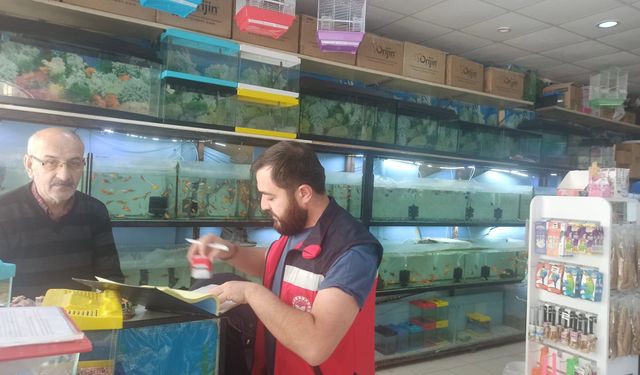 Kütahya'da ev hayvanı satış yerlerine sıkı denetim yapıldı