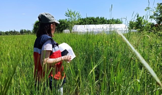 Kütahya'da merkez köylerde kapalı üretimlere denetim