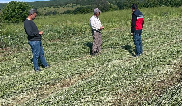 Kütahya Simav’da ekili alanlarda kontroller sürüyor