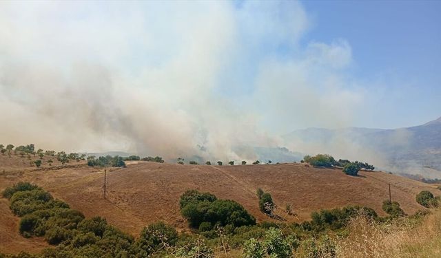 İzmir'de tarım arazisindeki yangın kontrol altına alındı