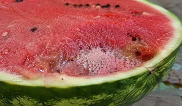 Köpüren karpuz tehlike sinyali olabilir uzmanlar uyarıyor