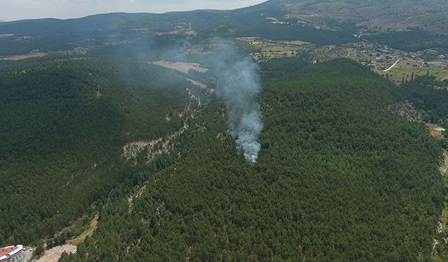 Kütahya kent merkezinde orman yangını çıktı