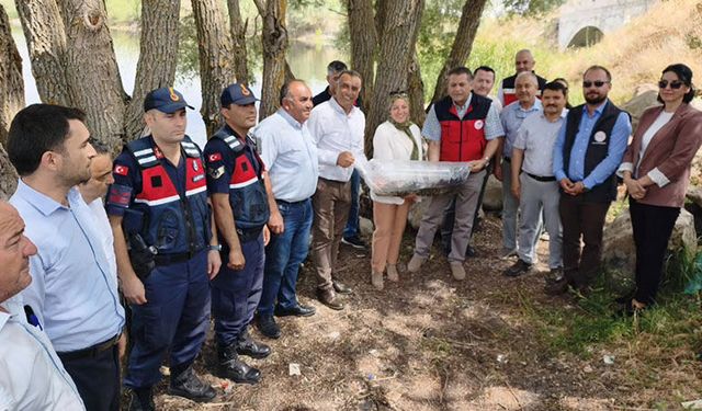 Kütahya'da barajlara 140 bin sazan yavrusu bırakıldı