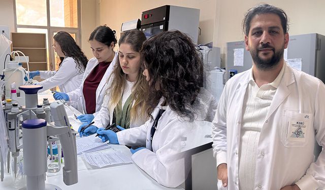 Kütahya’da bor ve gümüş içerikli yara kremleri geliştirildi