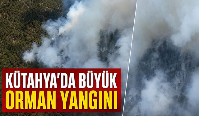 Kütahya'da çıkan orman yangınına müdahale ediliyor