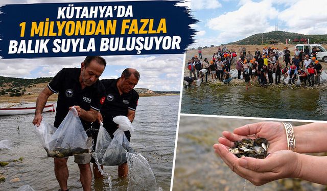 Kütahya’da iç su kaynakları balıklandırılıyor