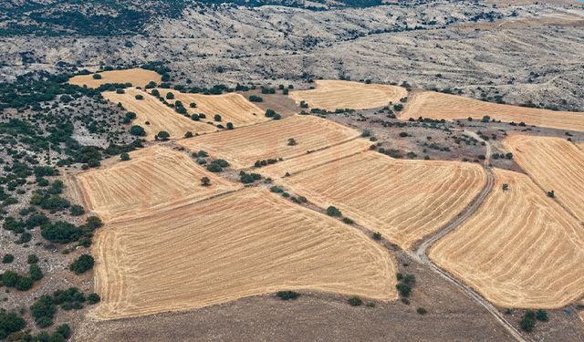 Kütahya'da 8 bin 943 metrekare tarla icradan satılığa çıkarıldı