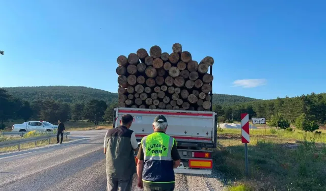 Kütahya’da orman emvali taşıyan araçlara denetim