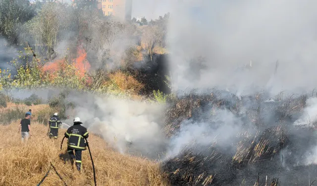 Kütahya'da tarlada çıkan yangın söndürüldü