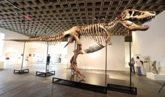Nadir bulunan T. rex fosili açık artırmada 50 milyon dolara satıldı