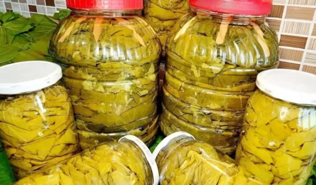 Salamura yapraklarını taze tutan doğal yöntem