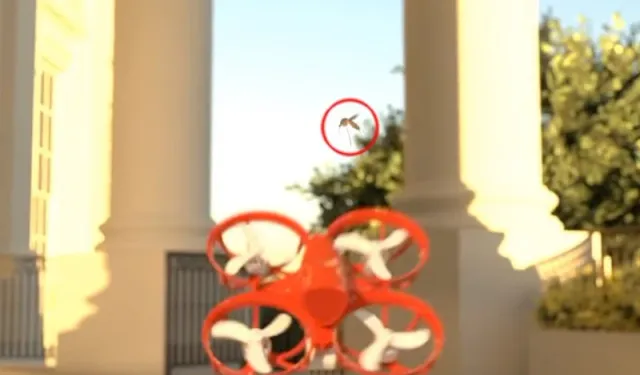 Yapay zekalı avcı drone sivrisinekleri havada avlıyor