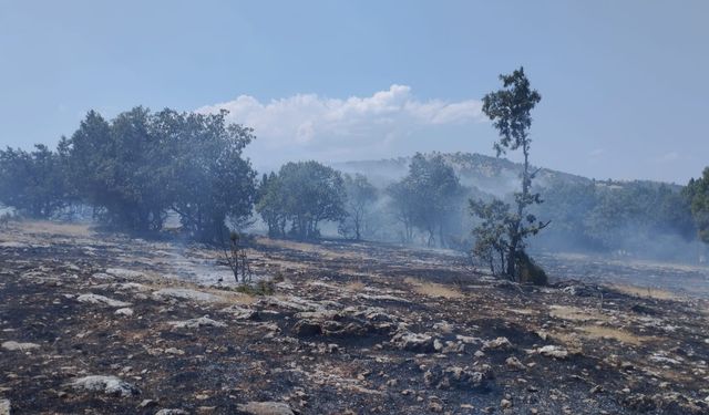 Kütahya’da büyük arazi yangını