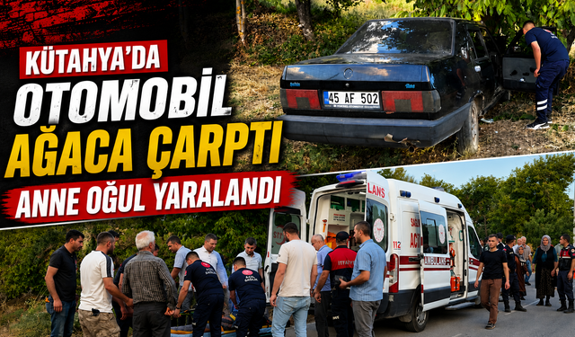 Kütahya'da otomobil ağaca çarptı, yaralılar var